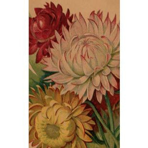 Card | Stunning Flowers