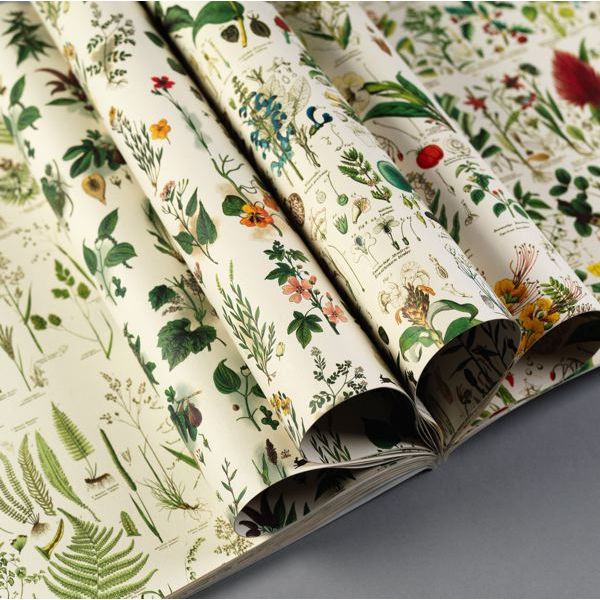 Wrapping Paper Book | Flora