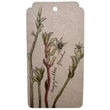 Gift Tags Pack of 10 | Kangaroo Paw