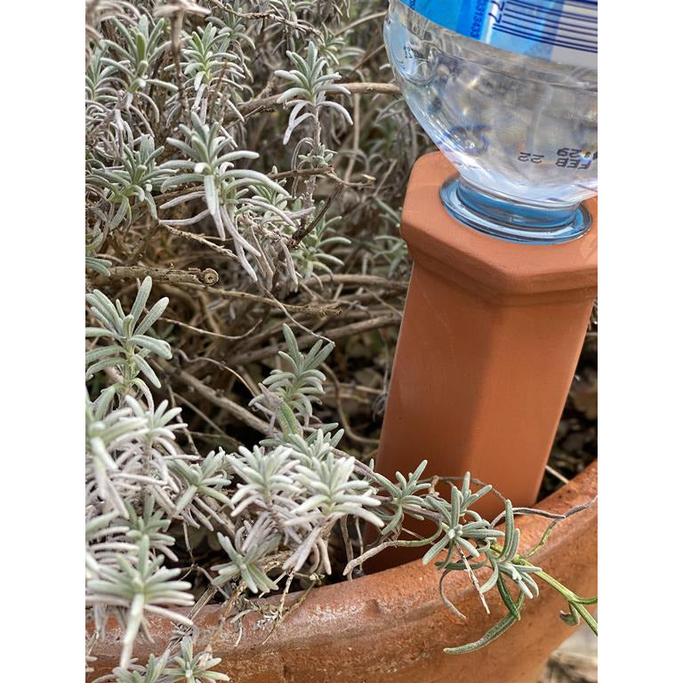 Terracotta Water Spike