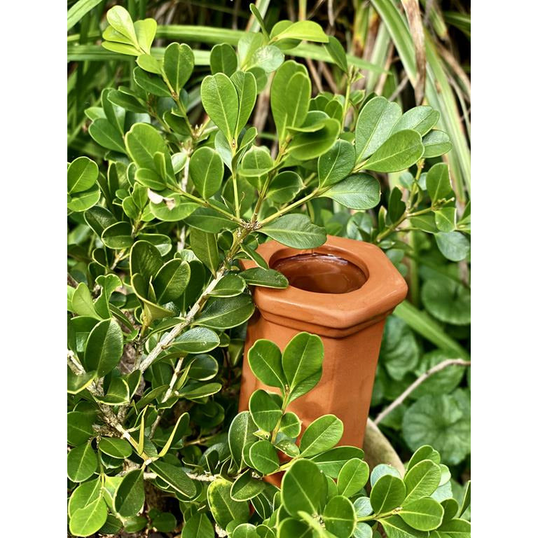 Terracotta Water Spike