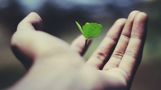 Selling Online with a Conscience: Prioritising Sustainability and Ethics in our Small Business