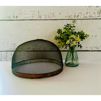 Antique Food Cover