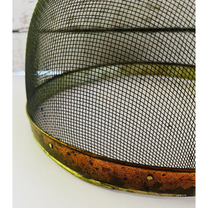 Antique Food Cover