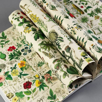 Wrapping Paper Book | Flora