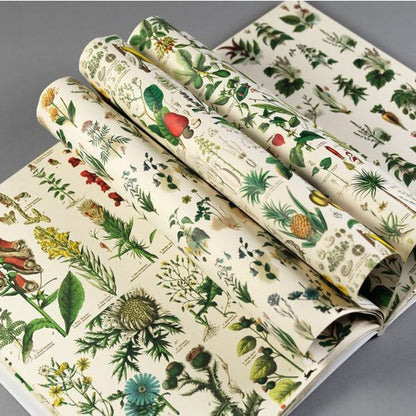 Wrapping Paper Book | Flora