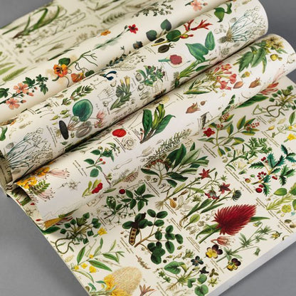 Wrapping Paper Book | Flora