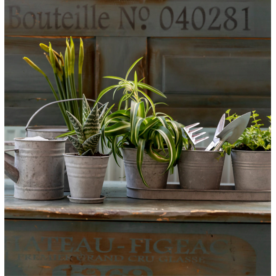 Herb Pot Set | Aged Zinc