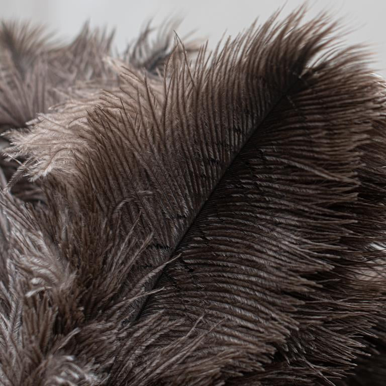 Feather Duster | 35cm | Natural