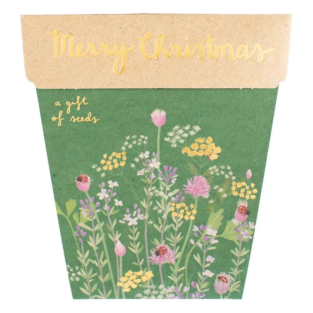 Christmas Flowering Herbs | Gift of Seeds