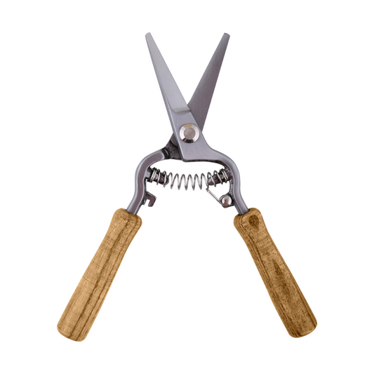 Flower Pruning Scissors