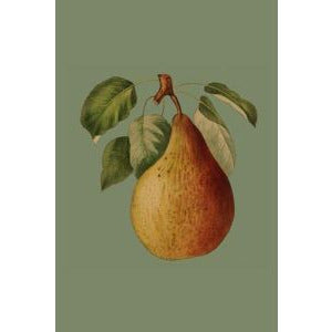 Card | Vintage Pear