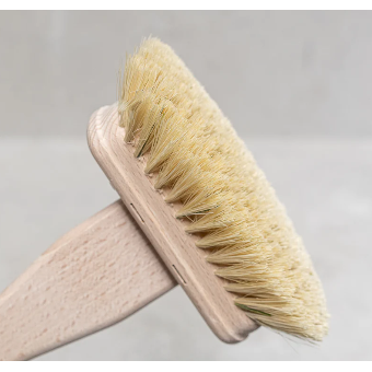 The Tub Brush