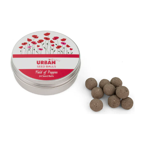 Seed Balls | Field of Poppies