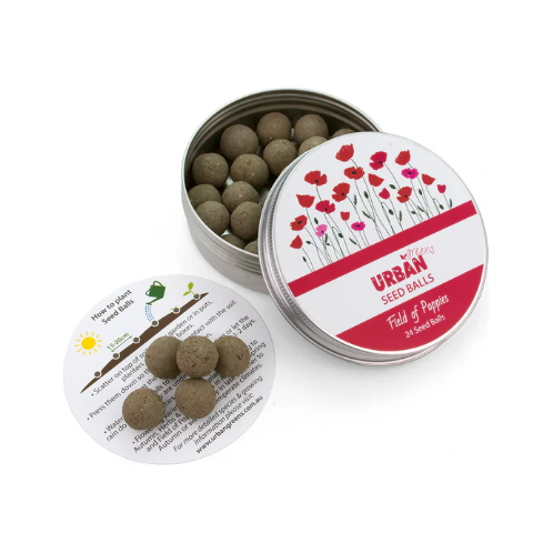 Seed Balls | Field of Poppies