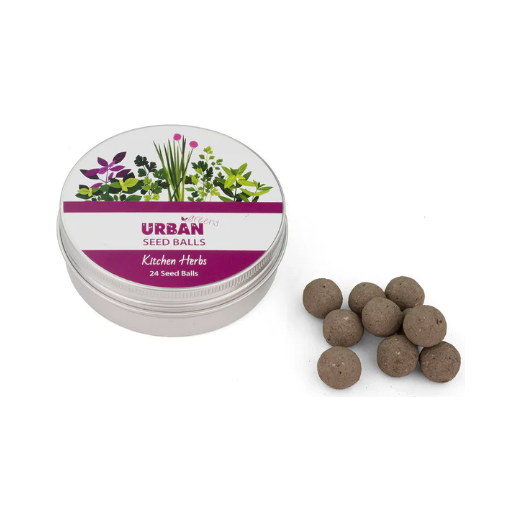 Seed Balls | Kitchen Herbs