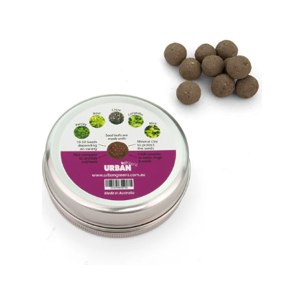 Seed Balls | Kitchen Herbs