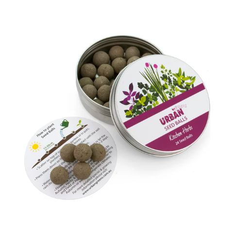 Seed Balls | Kitchen Herbs