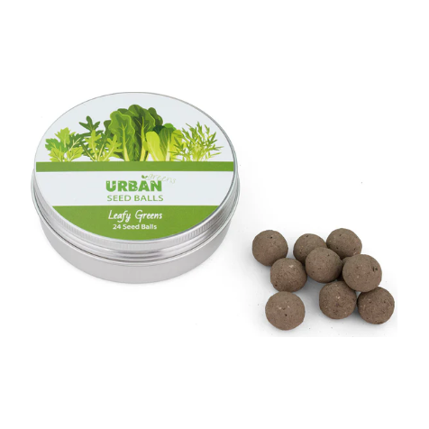 Seed Balls | Leafy Greens