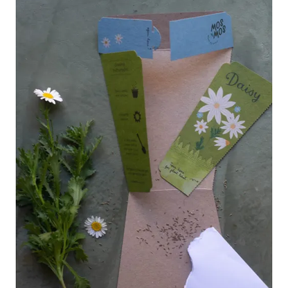 Gift of Seeds | Daisy