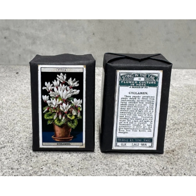 Gardeners Soap | Cyclamen