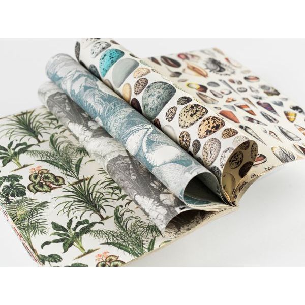 Wrapping Paper Book | Natural History