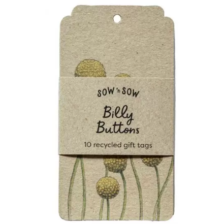 Gift Tag Pack of 10 | Billy Buttons