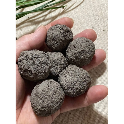 Seed Bombs | Australian Wildflowers