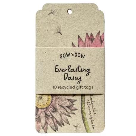 Gift Tag Pack of 10 | Everlasting Daisy