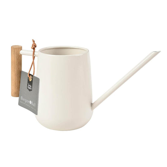 Watering Can | Indoor