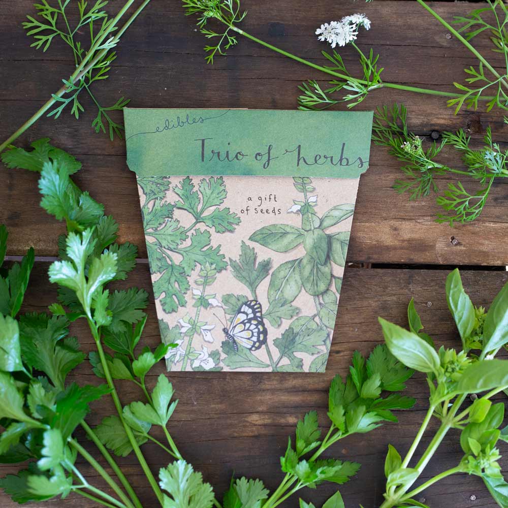 Gift of Seeds | Trio of Herbs