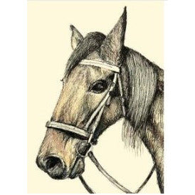 Card | Horse | by Kylie Sirett.