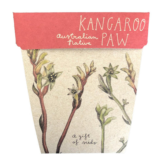Gift of Seeds | Kangaroo Paw
