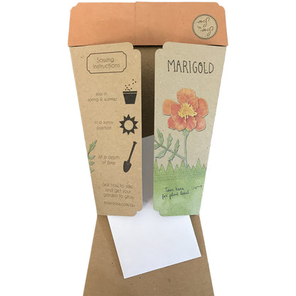Gift of Seeds | Marigold