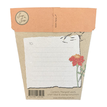 Gift of Seeds | Marigold