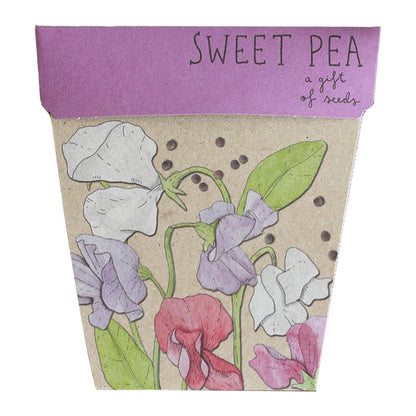 Gift of Seeds | Sweet Pea