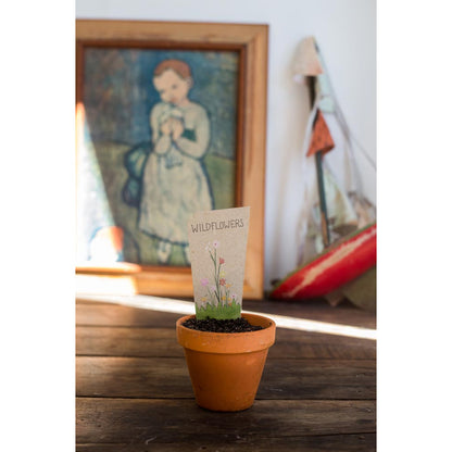Gift of Seeds | Wildflowers