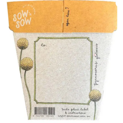 Gift of Seeds | Billy Buttons