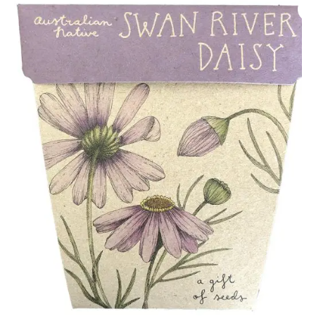 Gift of Seeds | Swan River Daisy