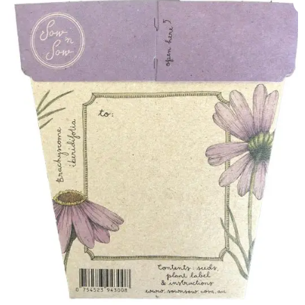 Gift of Seeds | Swan River Daisy